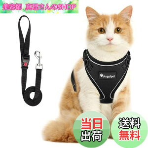 yzL Lp n[lX  L ˂ lR qL q ^ U o Ȃ xXg \tg y ʂ}WbNe[vő TCY߉ 锽 ʋCbV