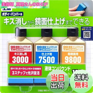 yz\tg99(SOFT99) 99H[ Cpi t̃RpEhgCAZbg hʂ̃LYAdグAʎdグp pX|W 09193