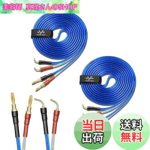 yzyoinz 2{1g LRZbg yoiivOHρz by yWYVERN AUDIOz 24kbL vO Xs[J[ P[u in_ς By WYVERN AUDIO (oiivO̐jvO / 