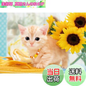 yzG|bN 108s[X WO\[pY /ybg ˂ ˂̂Ȃ₷ (18.2×25.7cm) 01-057 ̂t wt _t EPOCH