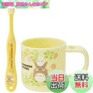 yzXP[^[(Skater) X^ht Rbv uVZbg uV Rbv ƂȂ̃gg X^WIWu KTB5