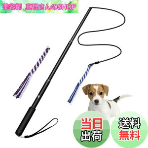 yzpފƂ [v   hM[} Pp p ފƌ^ OߐLkł 2pt 3`5Jɔzς