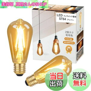 �y���������zaurogeek LED�d�� E26���� 6W ST64 �G�W�\���d�� �t�B�������g �A���o�[ 800lm 2700K 60W�`���� �������Ή� ���g�� �L�z�� �y���_���g�p 2����