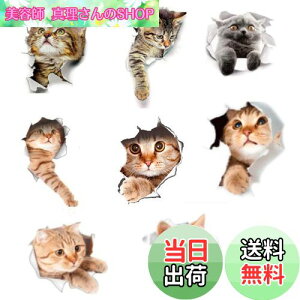 yzsiawadeky L V[ 8Zbg  EH[XebJ[ яoĂ 3D݂ h V[  DIY  JtF ybg gC  Q q CeA  