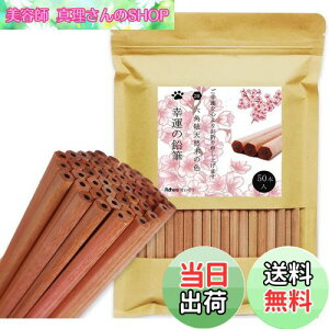 yzAdhereM VR؉M 2B Zp 50{҂ Vtg _炩KAq̊wZ̏A`Ac^AwAܕiAŵ߂̉M  (SȂE50{)