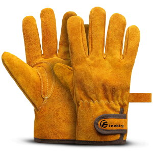 yz[Fieekty] ϔMO[u Lv  o[xL[ AEghApϔM yϔMiz LȂ v ω dXg[u Α n |p Ɨp tz 