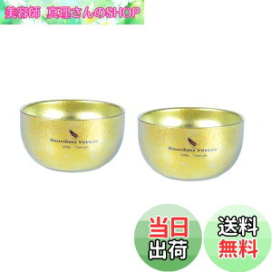 yzBoundless Voyage `^  ۂ dw Lv M y ϔM ₯ǖh~ KтȂ yhȂz ~jRbv u eB[Jbv(S[h(2))Ti3082D