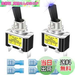 yzKiligen bJ[CgtgOXCb` 2 12V 30A ϋv [VOJ[   SPST I/It gOXCb` LED C~l[V 12mm TCY (u[)