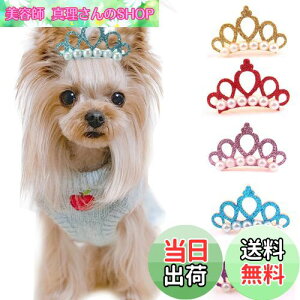 yzZHEJIA p wANbv y10Zbgzybg ybgpwANbv wAs 킢  ybg wAANZT[  