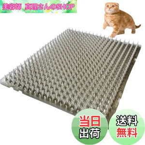 yzONESORA L悯V[g L悯Ƃ}bg  y8z Op LN tQh~