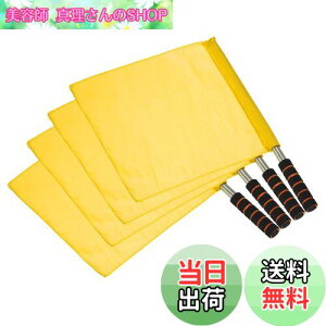 yzPATIKIL R 4 XeX|[ X|Wnh tbg{[ TbJ[p ㋣Z CY}R}hnhVOip CG[