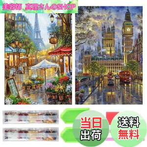 yzTRX _ChA[g Lbg _Ch̊G 2Zbg ꂢ Sʓ\t _ChA[g 5D S l̎q DIY |Lbg Ƃ̕ǂ̑ (Xg[gr