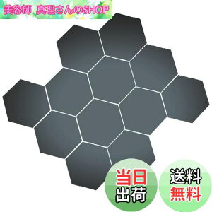 yzBIRLD EH[ ~[ XebJ[  \t  WALL MIRROR STICKER Ȃ Zp`  12 [ ubN ] MTCY