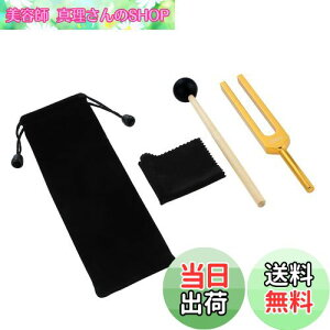 yzDreld 528Hz  `[jOtH[N `[i[ DNACq[O ȃq[Oy N[jONX VRn}[ [|[`t 򉻁AVg̉F S[f