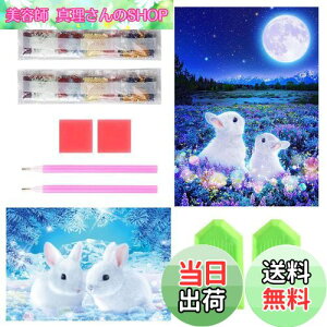 yzTRX _ChA[g Lbg _Ch̊G 2Zbg ꂢ  Sʓ\t 5D _ChA[g S l̎q DIY |Lbg Ƃ̕ǂ̑iET