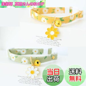 yzYINKE L Lp 2Zbg t f[W[̉ԕ Z[teBobN  lR   ^Kp y S S \ |GXe (O[{CG