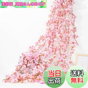 yzsiawadeky  K[h  ͂Ȃ 4{ 135/{ lHϗtA ԗ ʐ^  v|[Y p[eB[  lHǊ| ݂艺 fR[V o