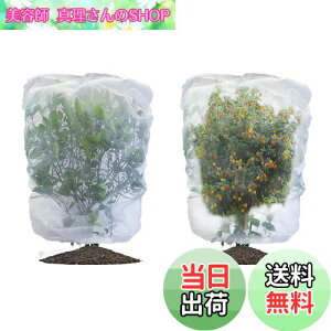 yzLIANHATA hlbg 2Zbg AیJo[ bVВ hlbg 悯Jo[ ؖ ΍ ʋC  Ap ؍͔| ؉v^[p (80*100cm)