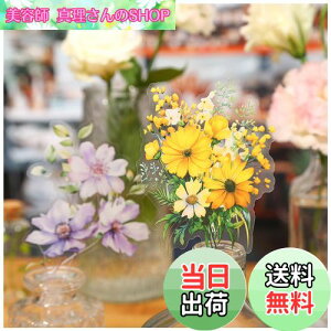 yzArpaper V[ R[W f t[NV[ lߍ킹 XebJ[ PET V[  킢 蒠 X}z ̎q m[g L[{[h fR R[W h R[Wf