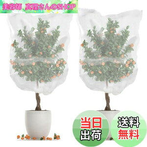 yzSensaBliss hlbg AیJo[ hlbg 2 bVВ ʋC   lbg  悯Jo[ ƒ؉ ؍͔| Ԓd ʎ v^[ Ap