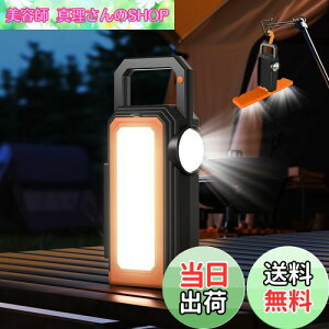 yzy2025V݌vzVORAGA \[[ ^ LED ^ USB[d ^ iK X}z[d\ IP65h Lv^ 6ނ̃Cg[h \[[Cg Lv Cg 