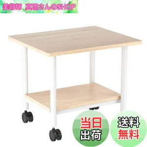 yzIBUYKE v^[ v^[bN LX^[t  fXN [J[g ؐ 48cm×s40cm×37.5cm i fXNS v^[J[g v^[X^h ItB