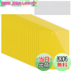 yzKALOLINNA  SV[g  QߊlS ʔS h S ȒPt Q ߒ h nG 쏜 ߊl K[fjO _ ͔| ƒ؉ CG[ (20×10cm,20)