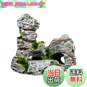 yzCharmoon ANAE  IuWF R B VF^[ A  I[ig u (^Cv2)