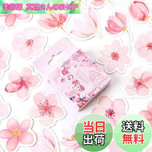 yzDoyime V[  90 t[NV[ XebJ[ XebJ[ V[ XPW[ 蒠 莆  蒠V[