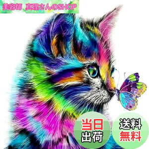 yz5d_ChA[g Lƒ 5D _Chh UCNA[g _ChyCeBO Lbg r[YG Sʓ\t^Cv r[YA[g UCNr[Y |pi 