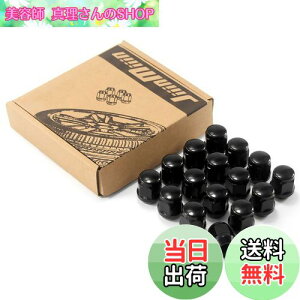 yzJiiinMiiin zC[ibg 16 V[gibg M12×P1.25 19HEX XYL Xo y | ubN