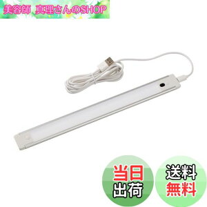 yzGp (ELPA) LEDړIUSBvbV LEDCg 280lm ALT-USB2030PS(D)