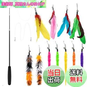 yz14 _Zbg L ColiChili L炵 VR Ĥ pH11 _t pނ莅2 ԂԂ ybgObY ˂pi