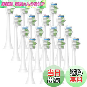 �y���������z�d�����u���V �ւ��u���V �t�B���b�v�X �\�j�b�P�A �Ή� �t�B���b�v�X�\�j�b�P�A�[ �ւ��u���V HX6064 Sonic 4�Z�b�g16�{���� �݊��u���V