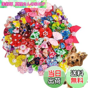 yzKingsie p{ wAoh 20_Zbg ybgp Jt  wAS wAANZT[  A\[g