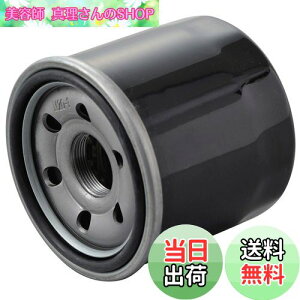 yzfCgi(Daytona) oCNp vCX ICtB^[ XYLn VXg[250 Ȃ 98734 ʂNo:F-11