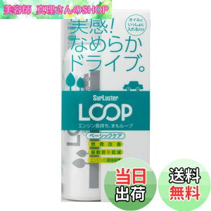 yzSurLuster(VAX^[) [v x[VbNPA ʎ GWICY RP Uጸ GWጸ V oN IC  RP LP-48