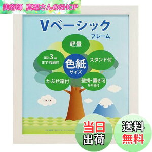 yz VANJOH tHgt[ Vx[VbNt[ FTCY zCg 454810