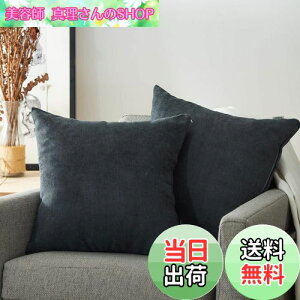 yzTopfinel NbVJo[ lۂ 45×45cm k  Ȗ n \t@w Jo[ zcJo[ ZO[ 2ZbgiS10Fj