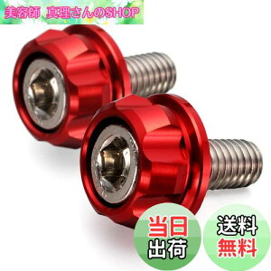 yzfCgi(Daytona) PREMIUM ZONE(v~A][) oCNp io[v[g {g M6×15mm z_[Zbg 2 bh 91945