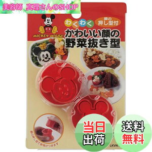 yzXP[^[(Skater) ؔ^ { fBYj[ ~bL[}EX LKVN1-A