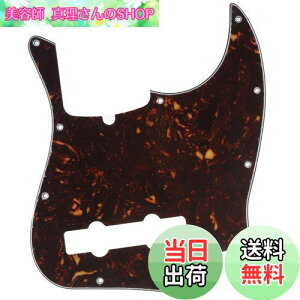 yzMusiclily Pro 10 vVWx[XPBsbNK[h5Fender American Precision BasspAꈍb4P