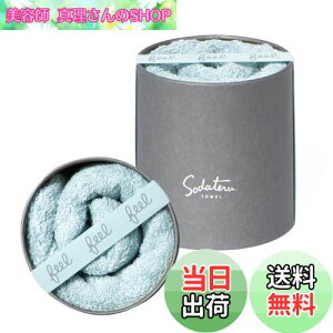 yzĂ^I feel tFCX^I tHOu[(n) 34×85cm 100 {bNX SD-FEEL-FFB