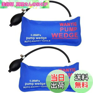 yzWANYIG GA[Ct[^[ GA[EGbW  hAbN  WbLAbv 300KGΉ ⏕H xTPUi 2_Zbg (傫Ȓ`)