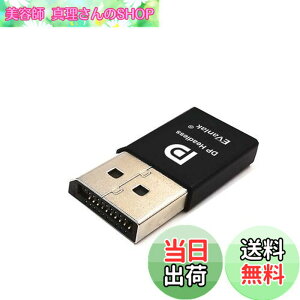 �y���������zEVanlak DisplayPort �w�b�h���X�S�[�X�g�f�B�X�v���C�G�~�����[�^�[ PC 4K DP�_�~�[�v���O�p (�w�b�h���X1080@60Hz-3840x2160@17hz�ɓK��)