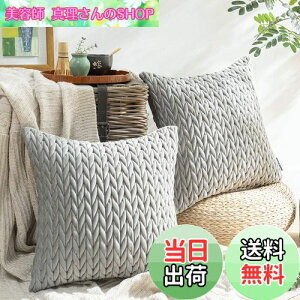 yzPhantoscope NbVJo[ xxbgv[c k 2  e͐ LeBO \t@w   n2WAY O[ 45×45cm