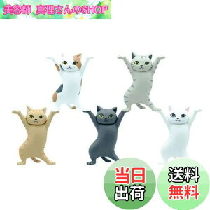 yzMRZJ JKRLyz_[lR̃y S5Zbggyz_[ (5PCS)