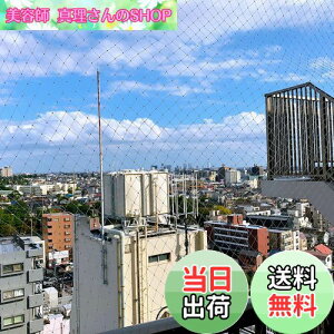 yzONESORA x_悯lbg hlbg h 4×10m tCVbNt JX   LEh~ ǔLNh~ eOX lbg  ϋv x