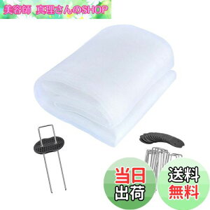 yzhlbg lbg |G` 3m×c10m Q̐Nh |؍͔|lbg hlbg ۉ h ʂ ƒ؉   |  zCg