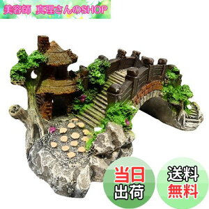 yzCharmoon ANAE  IuWF  A[` B VF^[ A a {뉀 (MTCY)